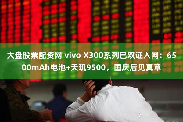 大盘股票配资网 vivo X300系列已双证入网：6500mAh电池+天玑9500，国庆后见真章
